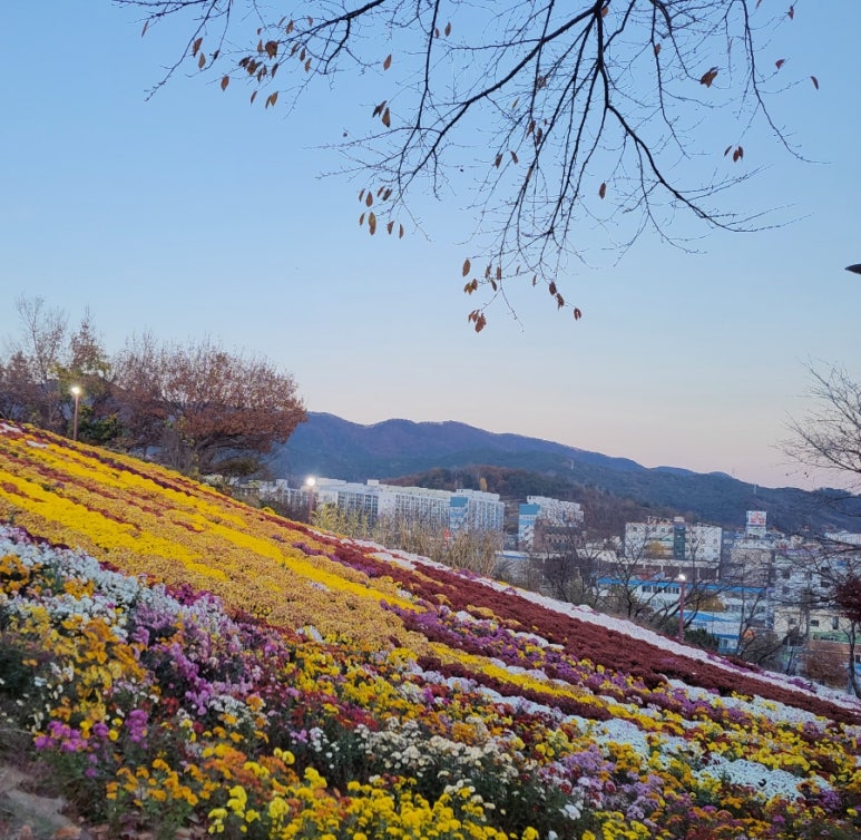화&순 이미지