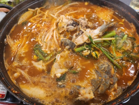 이선생도시어장 이미지