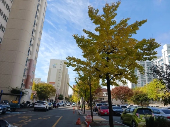 크린주택관리 이미지