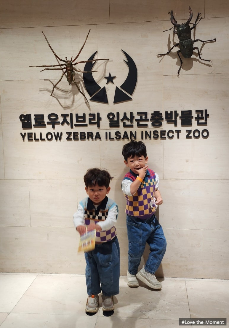 (주)옐로우지브라 이미지