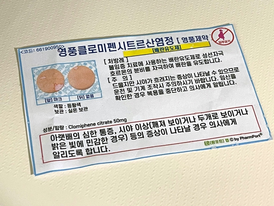 수앤영 이미지