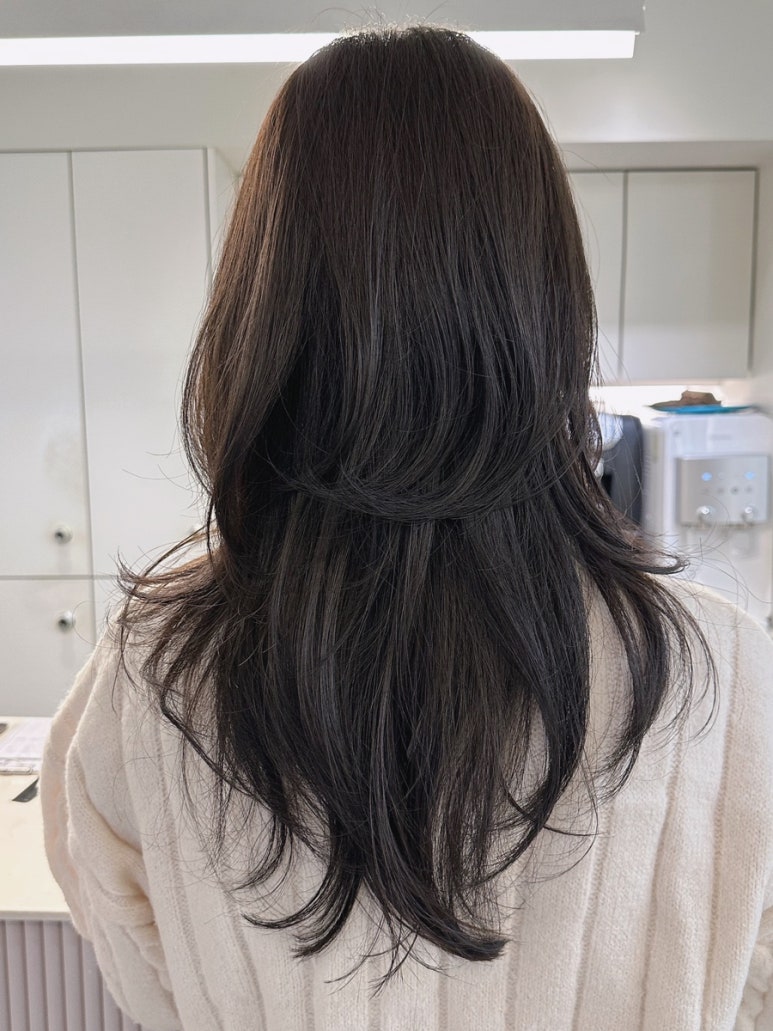 라몽 (La mong) 이미지