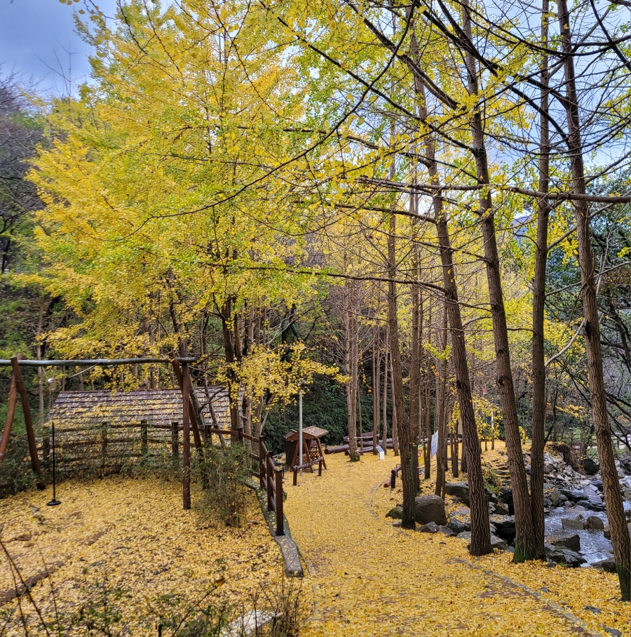 성산 유아숲체험원 이미지