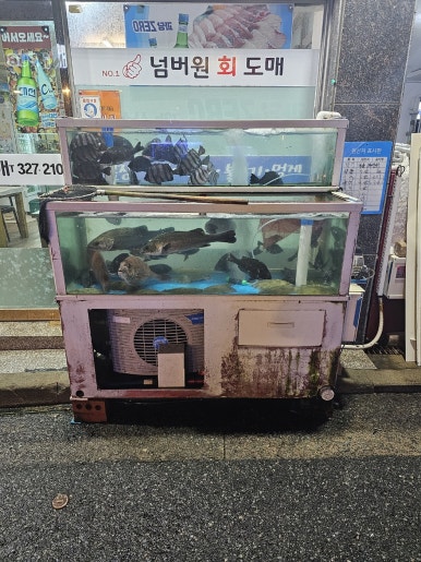넘버원회도매 이미지