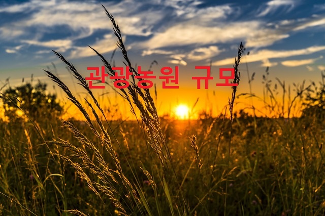 세종행정사 이미지