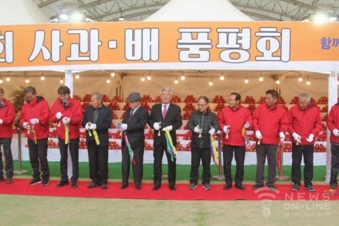 예산황토사과 이미지