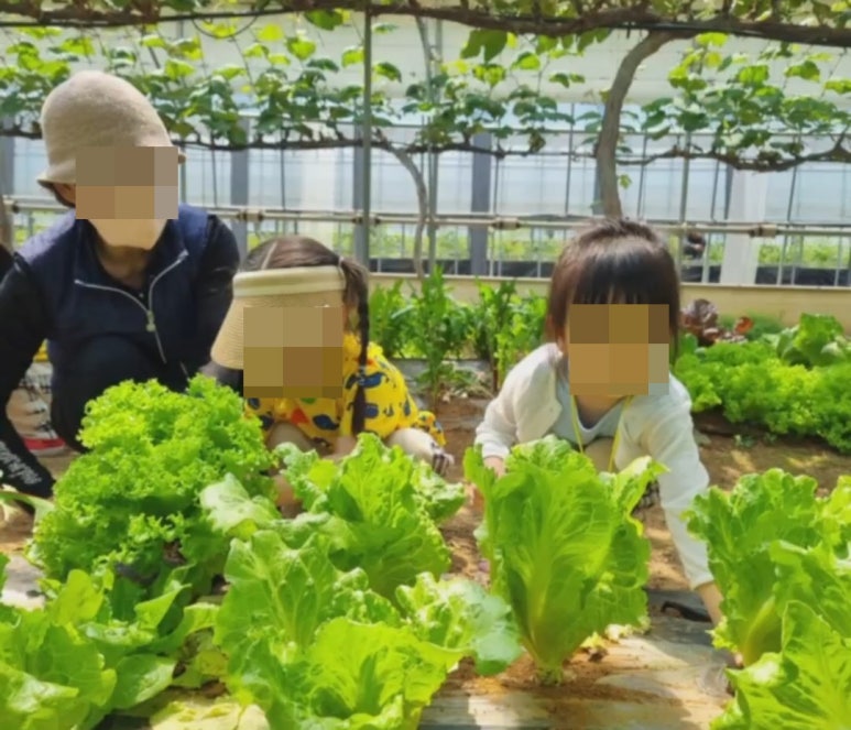 꽃들에나라 어린이집 이미지