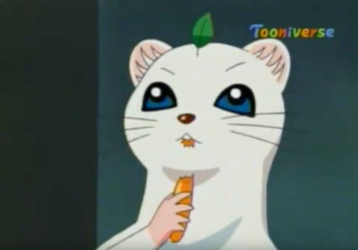 약족발 이미지