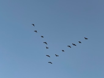 한옥소리 이미지