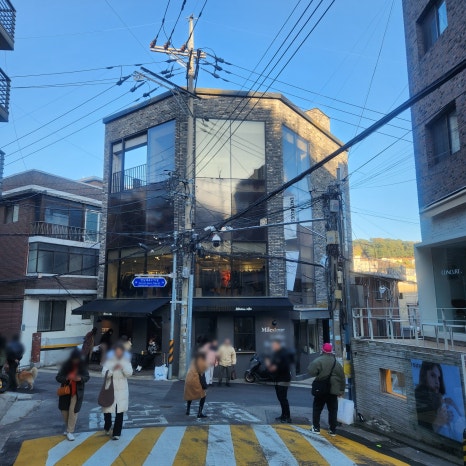 가르송플랜트 이미지