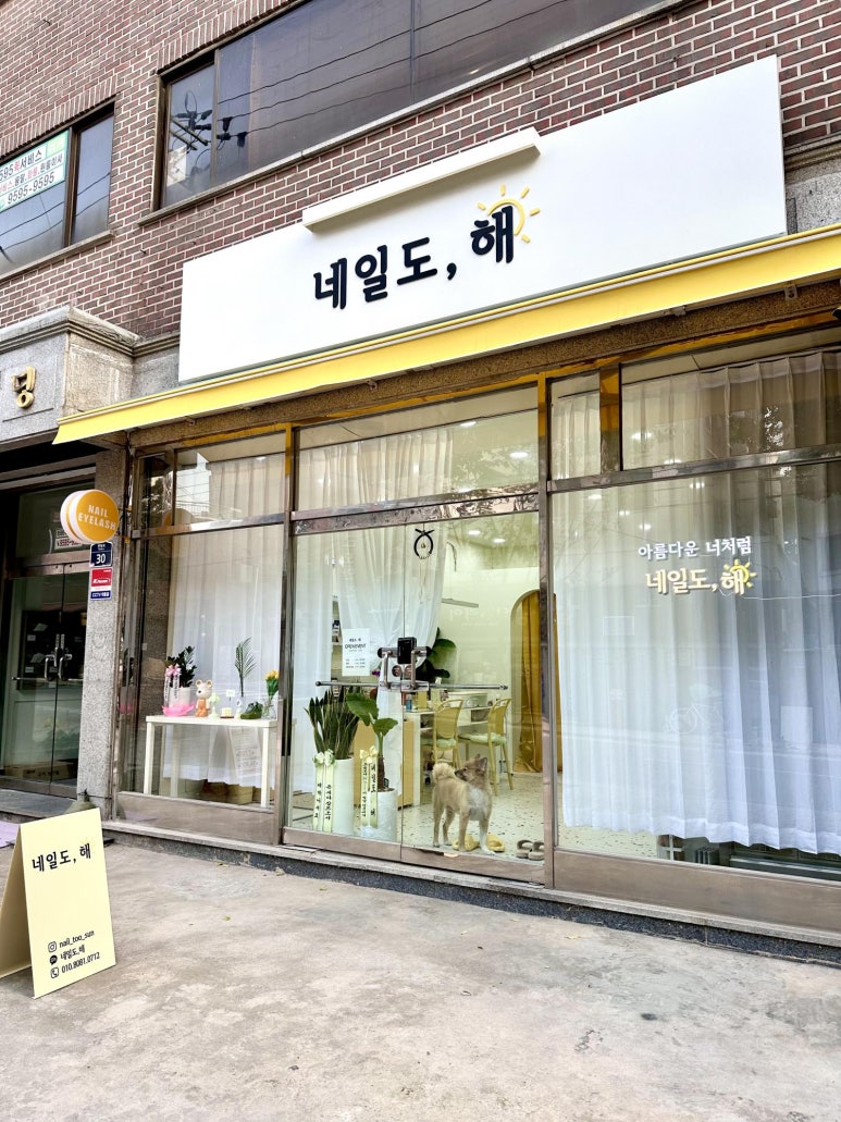 네일도;해 이미지