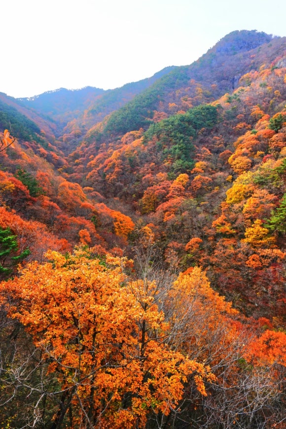 새싹존크린센터 이미지