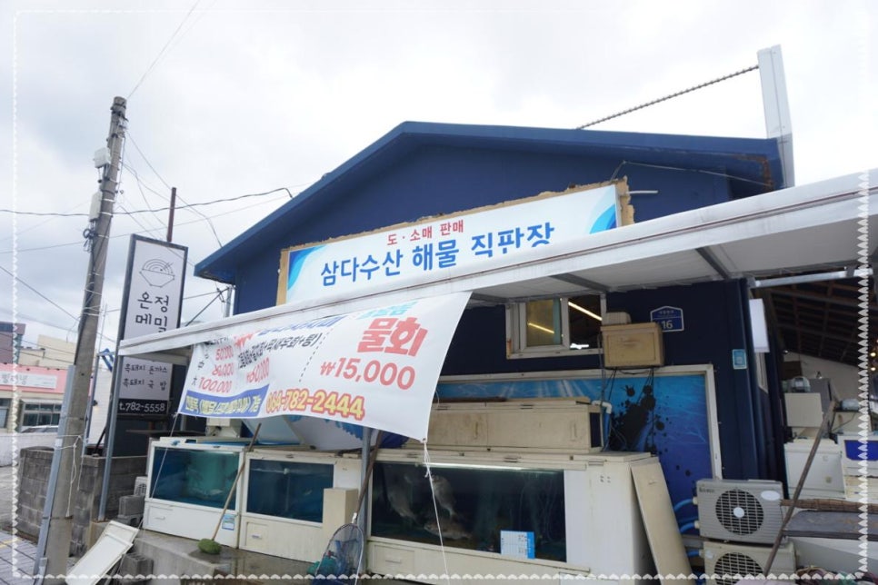 세화마트 이미지