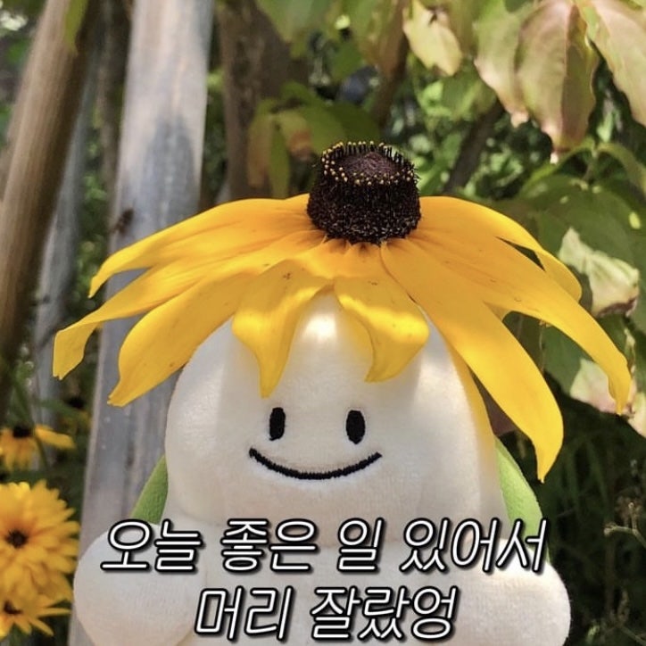 오우드 이미지