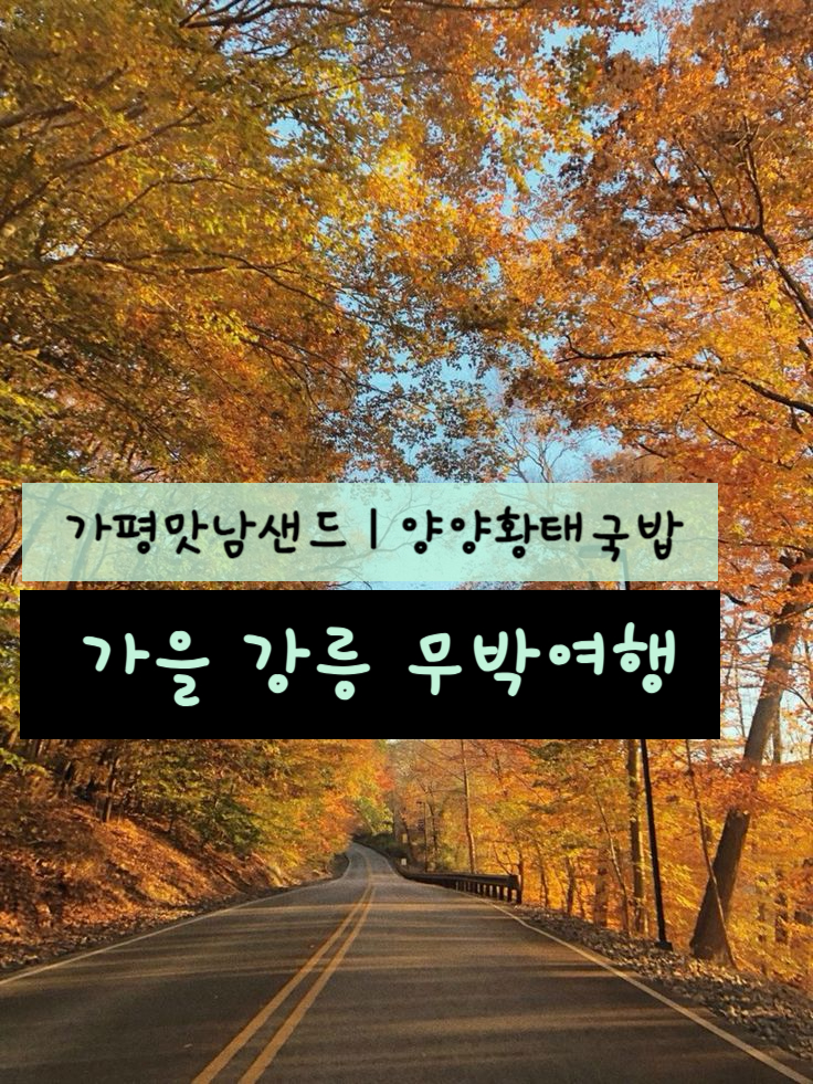 파리바게트감일 이미지