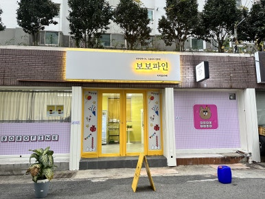 보보파인 이미지