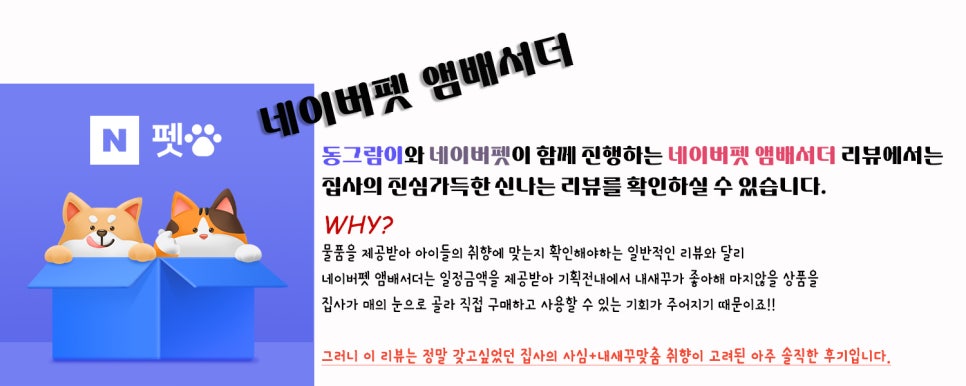 보호리카 이미지