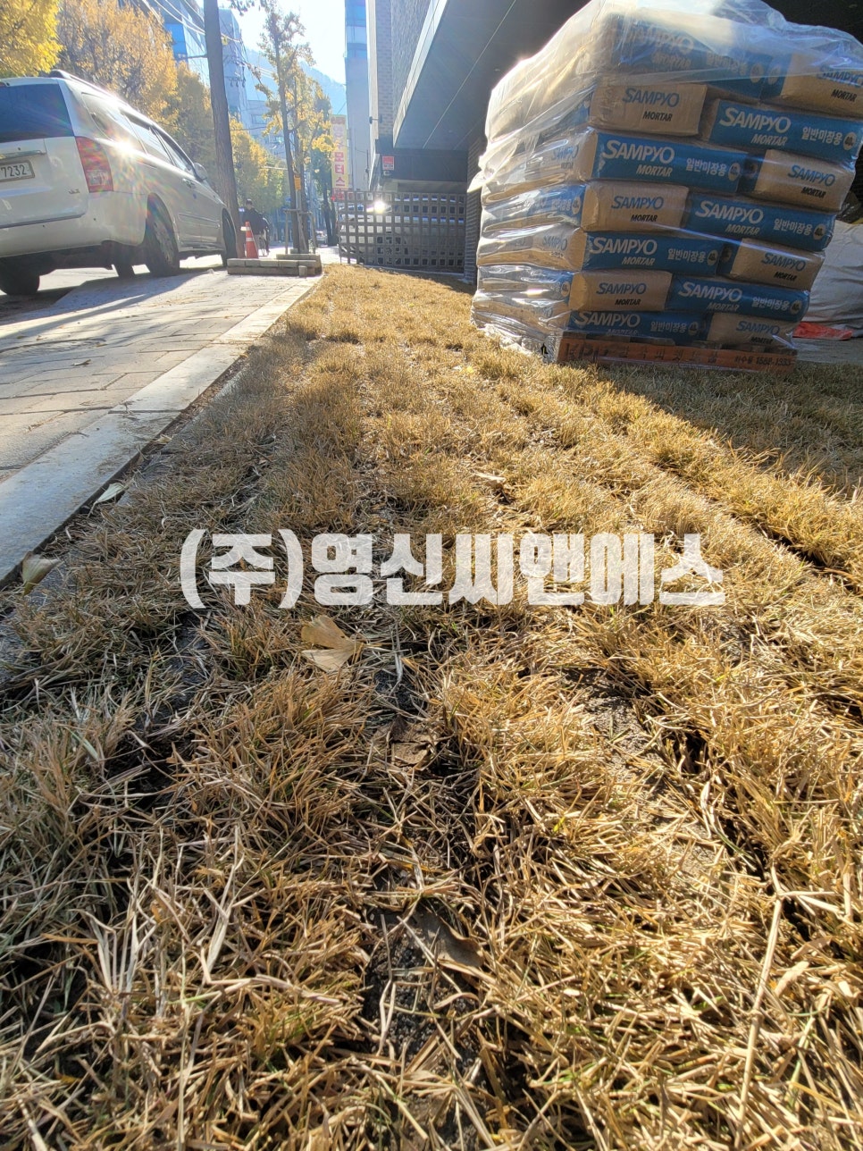씨앤에스건축디자인 이미지