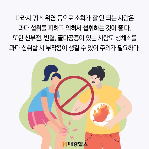 중앙채소 이미지