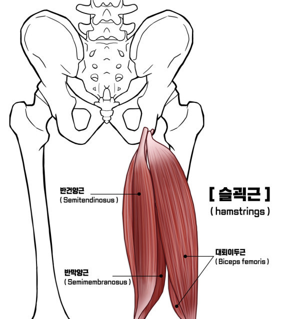 어베인휘트니스 이미지