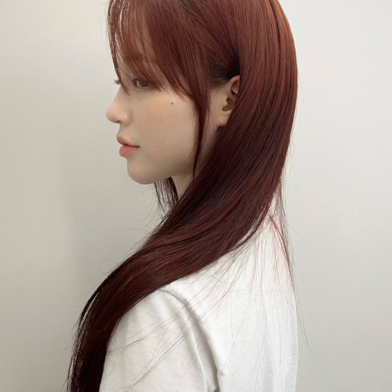 브라운빈 이미지