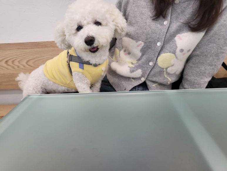 투흐티 이미지