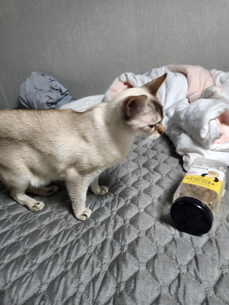 이더웰 이미지