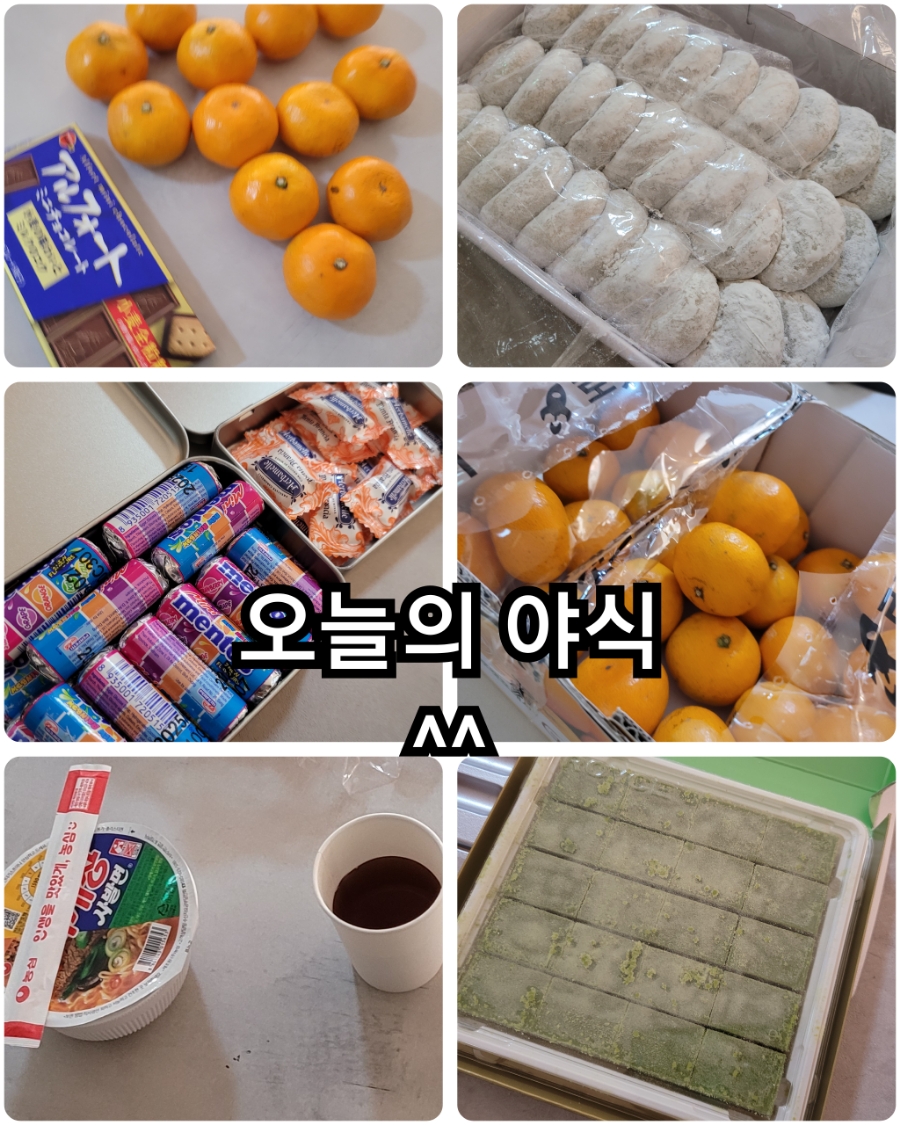 주식회사 교육여행 이미지
