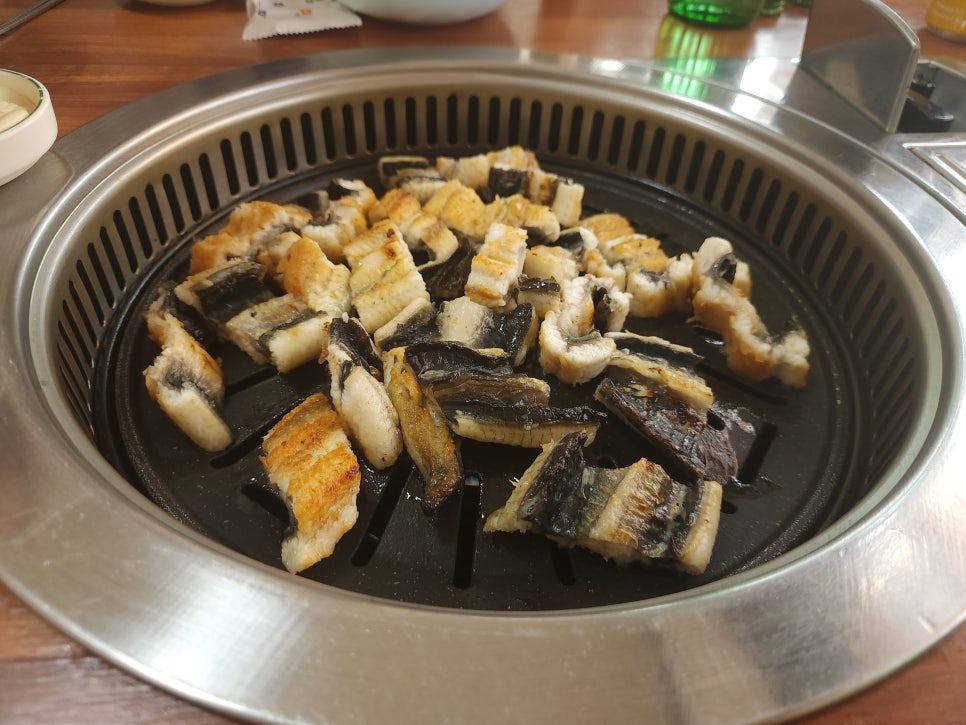 갱풍장어 이미지