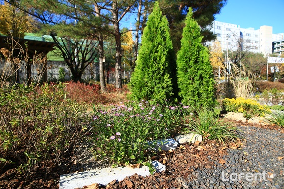 조경설계호원 이미지