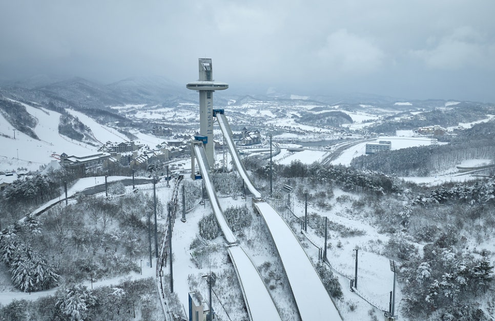 지지스포츠 이미지