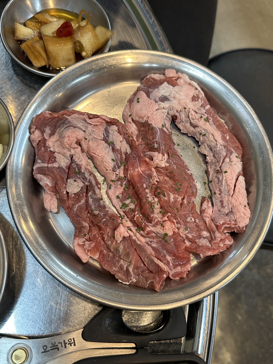 돗배갈매기 이미지