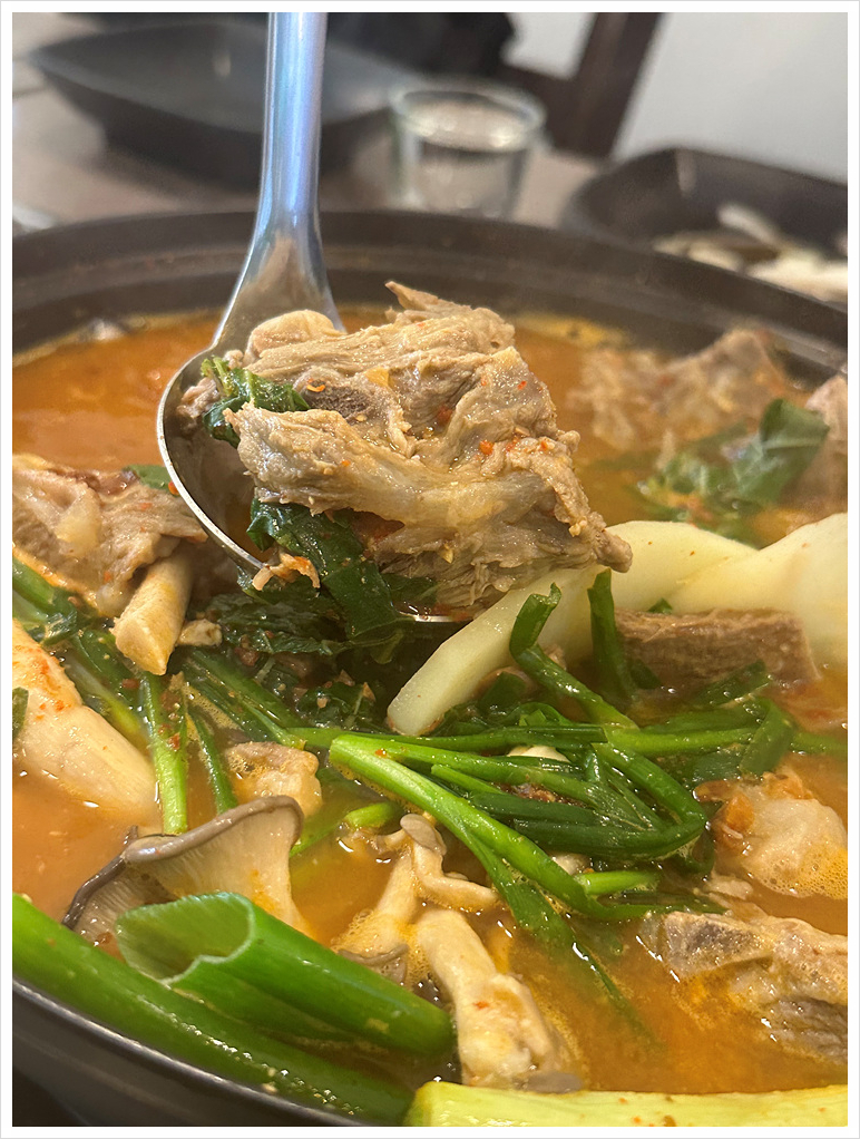 양이야기 이미지