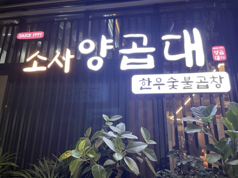 소사양곱대 이미지