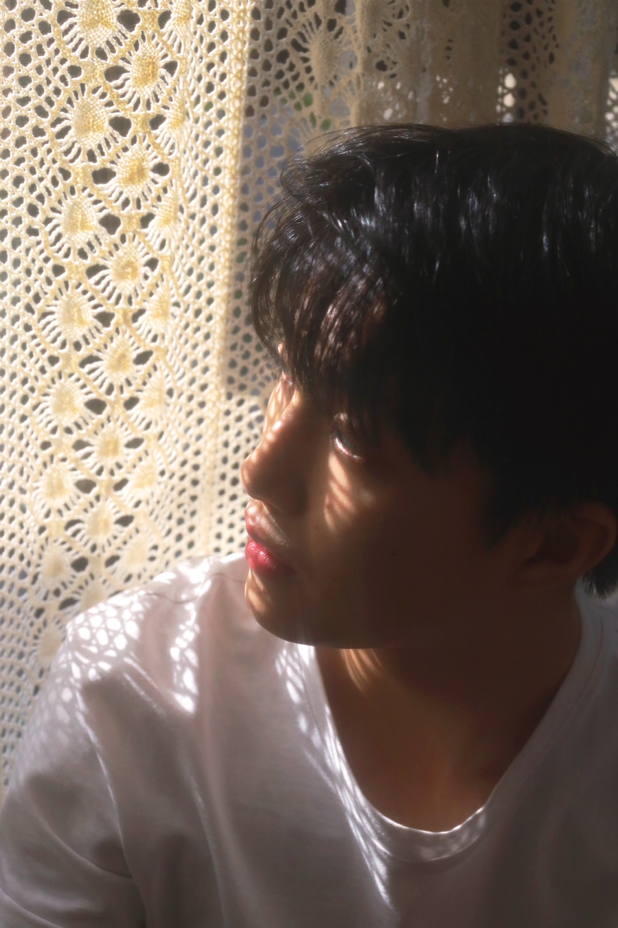 서울렌탈 이미지
