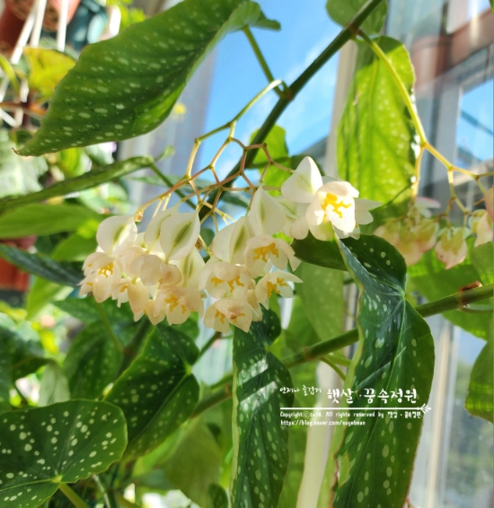 써니드림 이미지