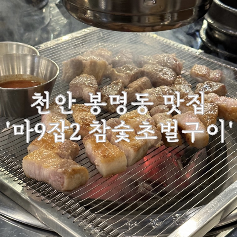 마9잡2 이미지