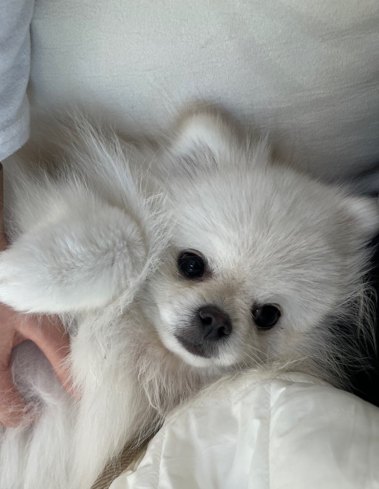 춘옥이네 이미지