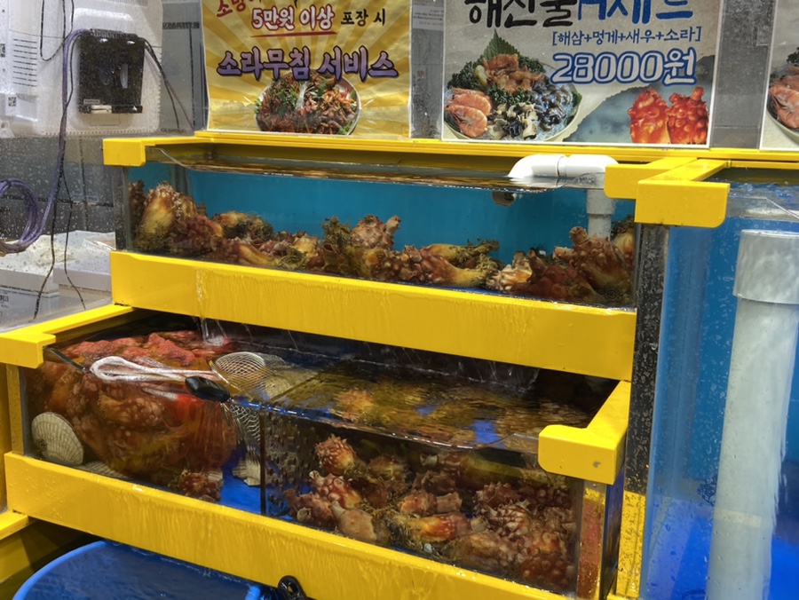 탐나종합어시장 안양비산점 이미지