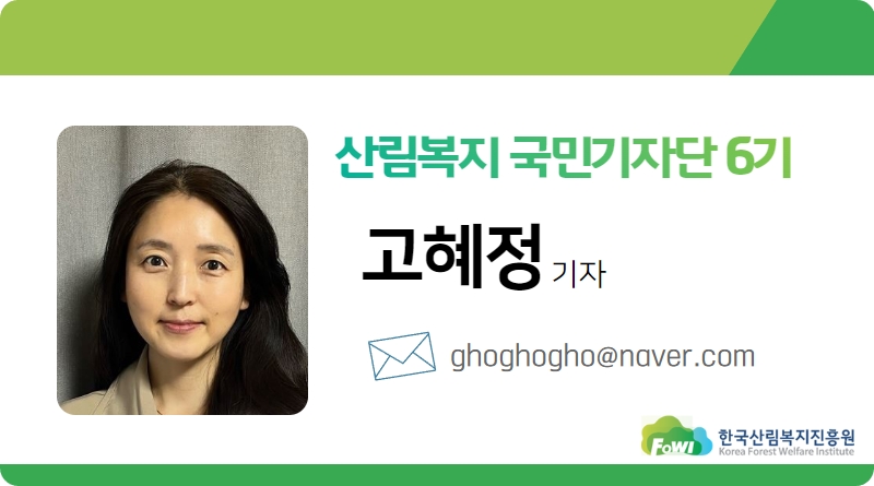 (주)비채여행문화연구소 이미지
