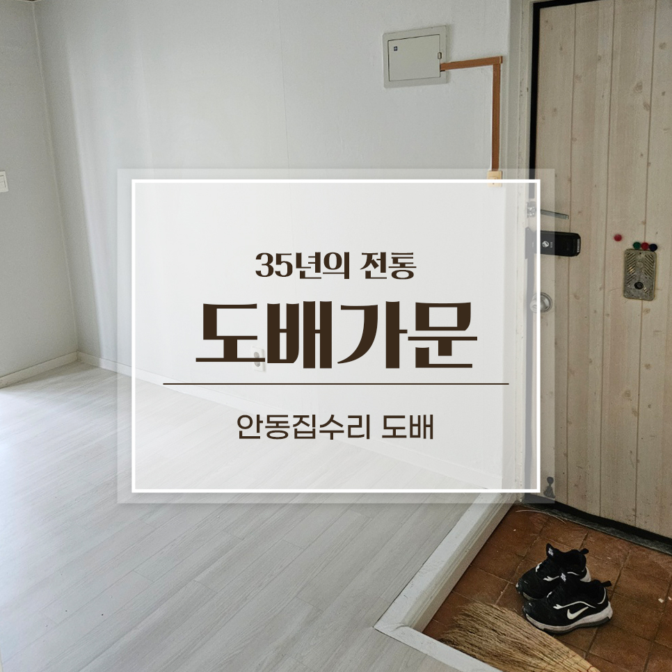 안동집도배 이미지