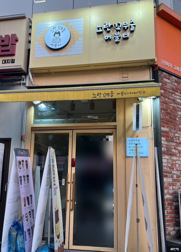 노란꼬무줄 이미지