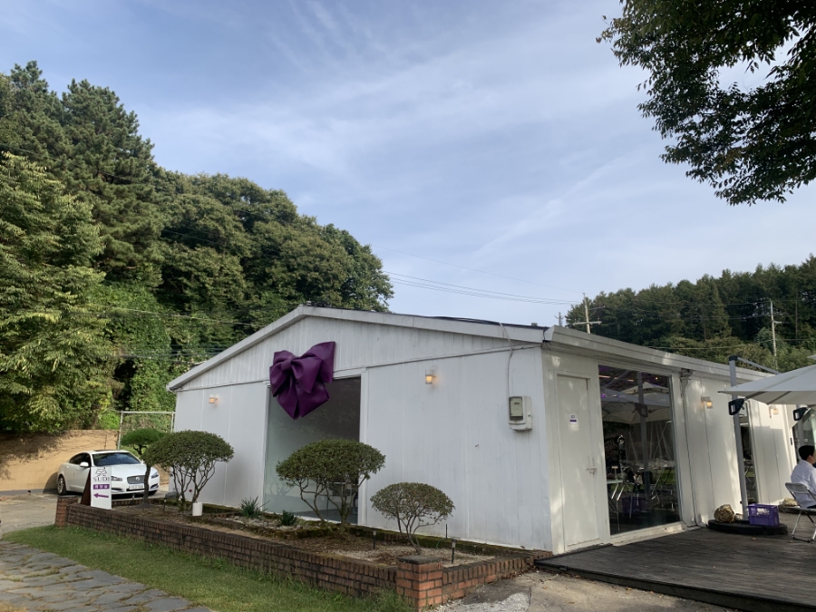 카페 수 이미지