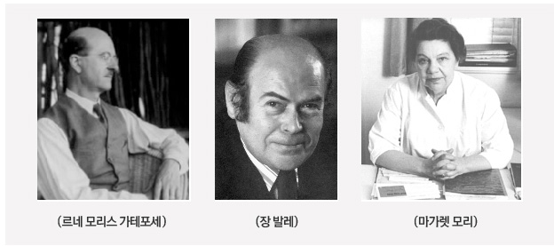 미주테라피 이미지