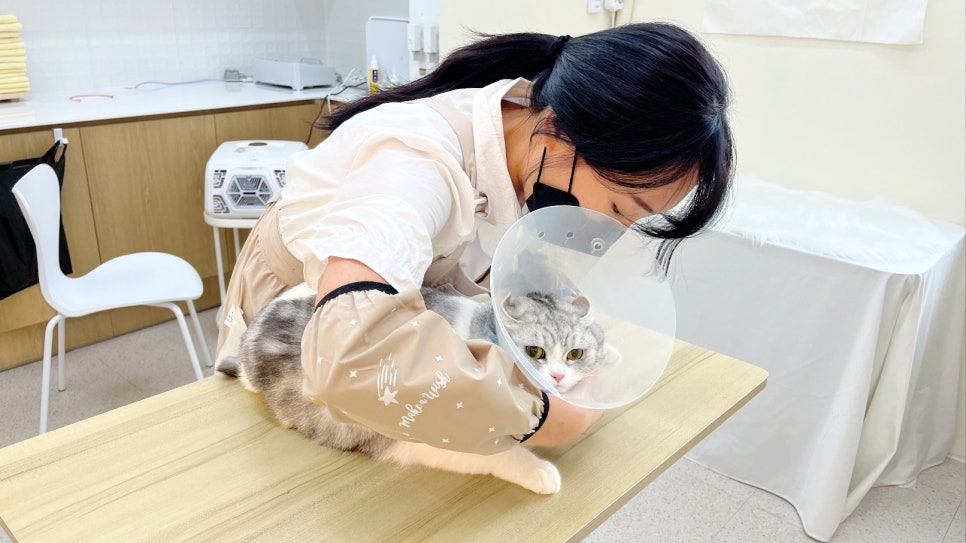 영심이헤어 이미지