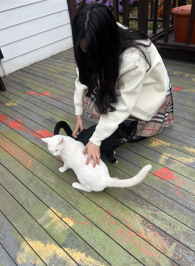 단지골몽상가 이미지