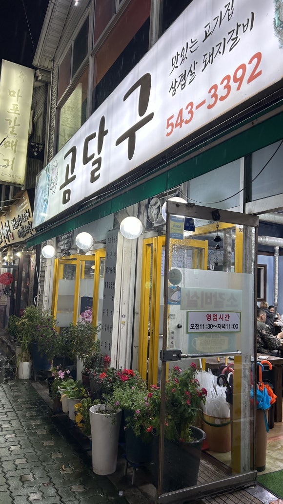 곰달구 이미지