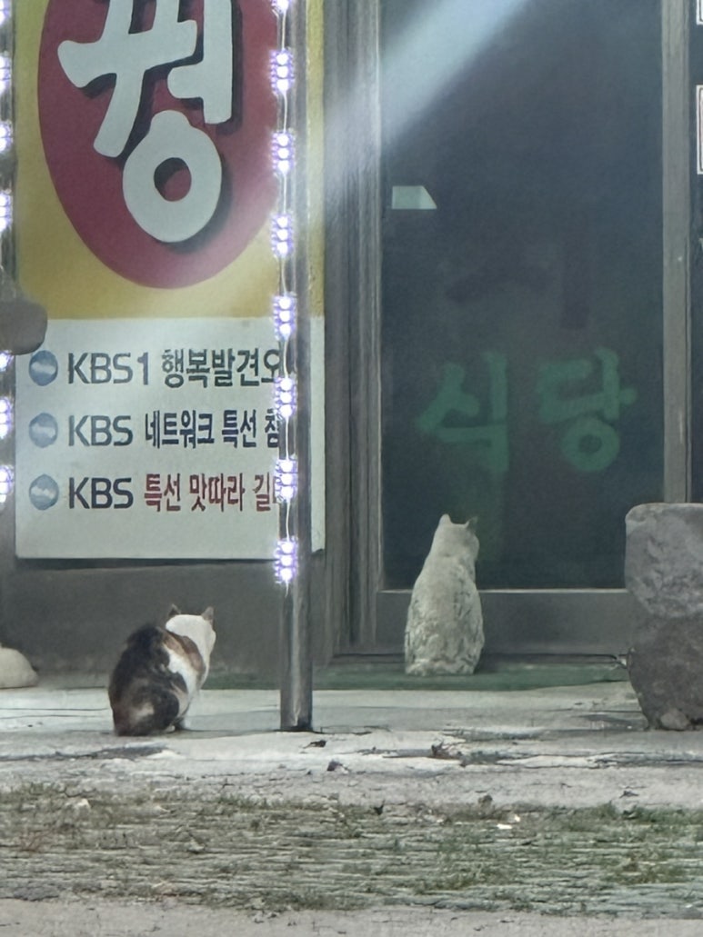 숲제면소 이미지