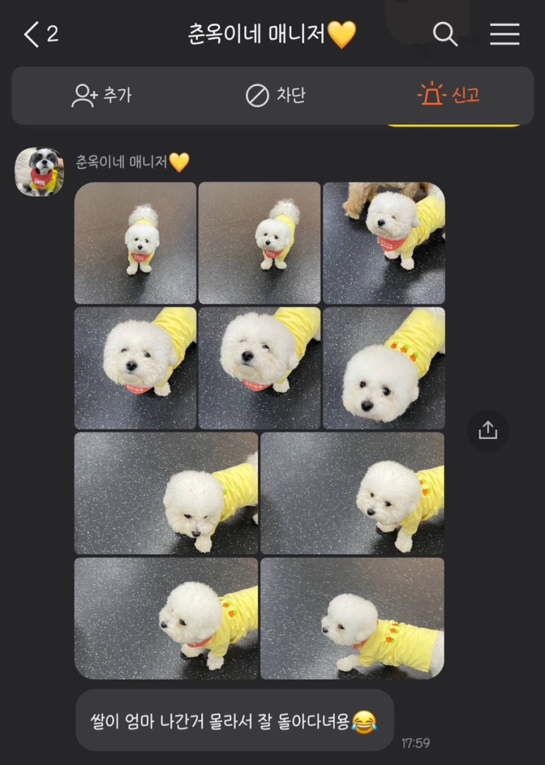 춘옥이네 이미지