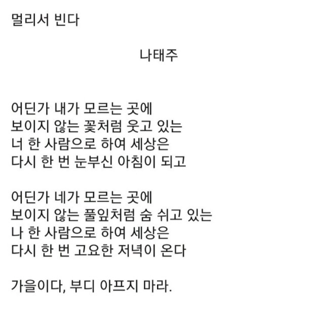 셀럽피자 이미지